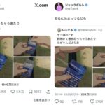 レス1番の画像1