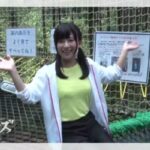 レス80番の画像3