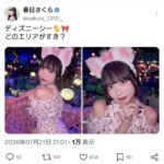 レス447番の画像1