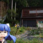 レス37番の画像1