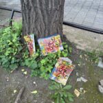 レス1番の画像10