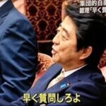 レス37番の画像1