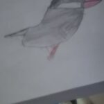 レス1番の画像1