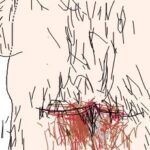 レス46番の画像1