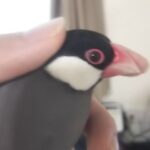 レス19番の画像1