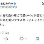 レス1番の画像2