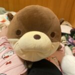レス53番の画像1