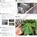 レス15番の画像2