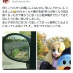 レス13番の画像2