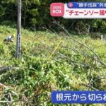 レス1番のリンク先のサムネイル画像