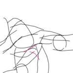 レス6番の画像1