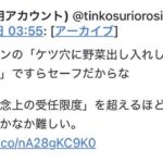 レス33番の画像1