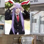 レス28番の画像1