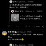 レス9番の画像1