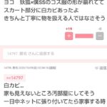 レス27番の画像1