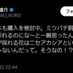 レス43番の画像1