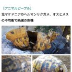 レス74番の画像1
